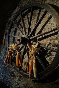 挂着的玉米旧木马车轮 装饰玉米     意大利Lombardy小村庄Breno的老磨坊背景