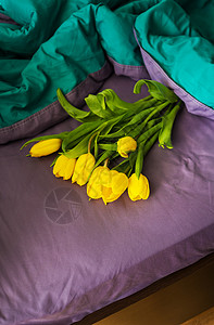 美丽的黄色郁金香格子花束惊喜快乐枕头季节包装母亲植物礼物背景图片