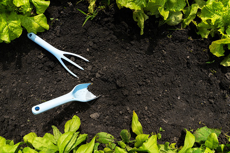 铁质工具铲子园圃物品 例如地上的小时尚的摇篮和一把花园铲子背景