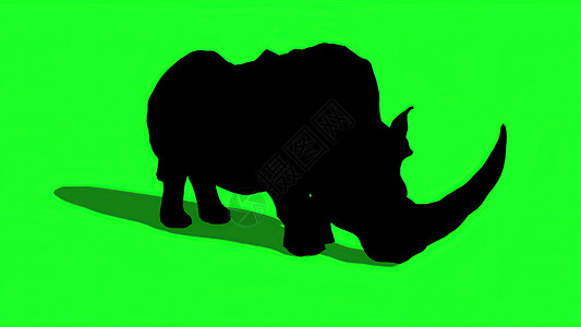 犀牛剪影素材3d 插图犀牛在绿色屏幕上的剪影眼睛色度动物母亲衬套野生动物哺乳动物荒野攻击耳朵背景