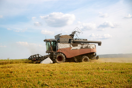 王动摄影收割者从耕种的农业田里收获小麦 单位 千分之一玉米机器粮食农村食物摄影工作金子风光种子背景