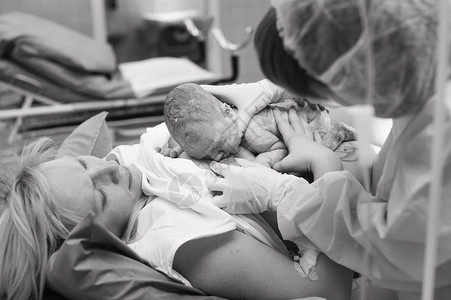医院病房黑白新生儿在医院产科病房的母亲胸骨上的特写镜头 刚出生 黑白照片背景