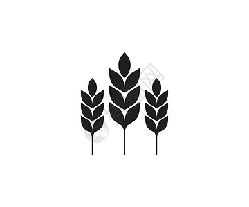 燕麦纤维小麦作物农业图标 矢量插画平面设计面包麸质稻草营养纤维玉米耳朵收成谷物生长插画