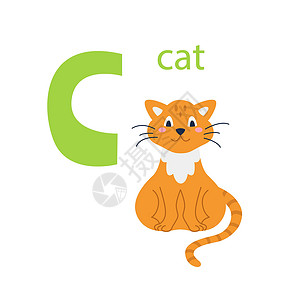 美国猫素材一只可爱的红猫的卡片 与动物的字母表 色彩缤纷的设计 用于教孩子们字母表学习英语 白色背景上平面卡通风格的矢量插图插画