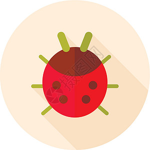 瓢虫平面矢量 ico昆虫甲虫红色荒野插图漏洞动物背景图片