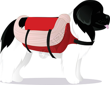 克里斯特纽芬兰犬救生帮助绳索动物医药箱救命宠物稻草哺乳动物人员白色插画