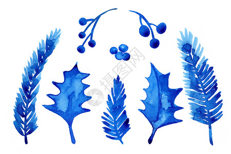 可爱手绘植物树和浆果的水彩冬季圣诞树枝在白色背景下被隔离 手绘插图 brances 云杉用于打印纹理壁纸或贺卡 蓝色 水彩画背景