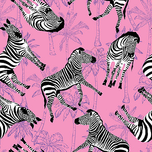 素描无缝模式与野生动物斑马在白色背景上 矢量插图 野生非洲动物动物园斑马纹线条皮肤风格材料哺乳动物墙纸条带图案化插画