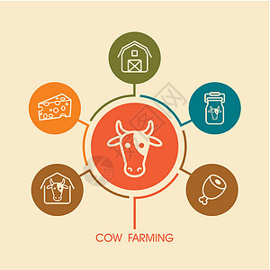 牛解刨图牛耕象像和农业人口图牛棚牛奶谷仓推介会信息牛肉瓶子图表动物农民插画