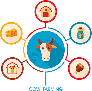牛耕象像和农业人口图信息动物推介会牛奶农场食物牛棚图表牛肉瓶子插画