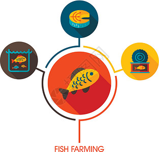 养鱼神像和农业信息图农场动物推介会海鲜钓鱼水族馆牛扒红色图表农民插画