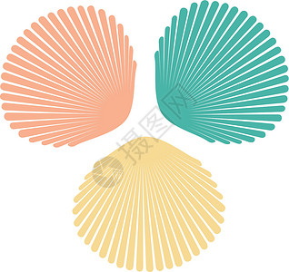 彩色风格一组平面样式的彩色贝壳 孤立在白色背景上的矢量图解  EPS1插画