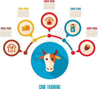 牛解刨图牛耕象像和农业人口图农场信息图表牛奶牛棚谷仓牛肉动物农民推介会插画