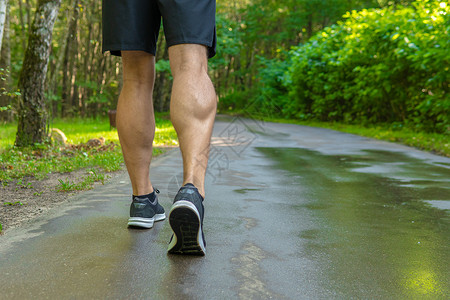 穿着运动鞋的腿特写运动员在户外公园跑步 在森林周围 橡树绿草年轻持久的运动员活跃的运动森林 锻炼训练腿公园能量伸展背景图片