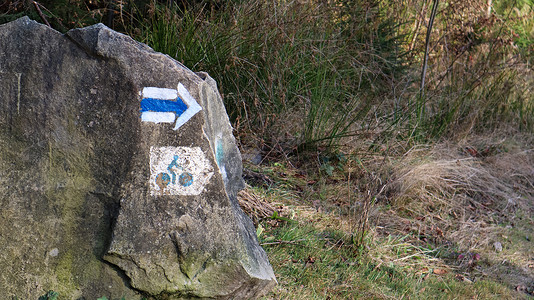 石五供骑自行车的人在森林里的石头上的形象 供骑车人指路的标志 一张鹅卵石的特写 上面有一张自行车的照片背景