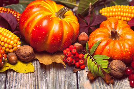 秋天的博里博里的秋天团体食物木头蔬菜收成榛子桌子耳朵玉米树叶背景