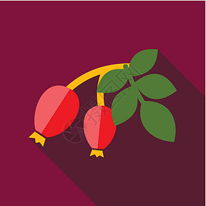 带有红莓平板图标的玫瑰花枝食物红色草本感恩玫瑰荒野水果收成浆果插图背景图片