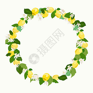 柠檬水果和叶子的花环背景图片