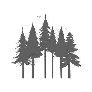 剪影树森林剪影 树木和鸟类的轮廓 孤立在白色背景上 向量插画
