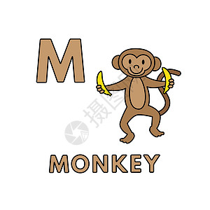 寺庙里的猴子矢量可爱卡通动物字母表 猴子它制作图案设计图片