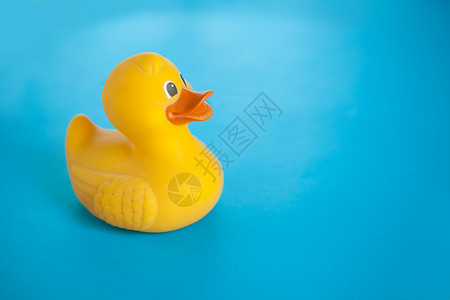 蓝底的黄色橡胶浴鸭 夏季玩具店高清图片