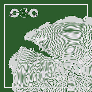 树年轮横切面带有标志和年轮的 ECO 海报灰度图横截面生长圆圈林业历史生态生物标识木工建造材料插画