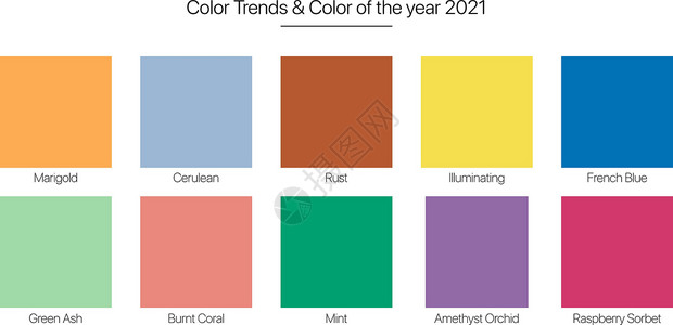 2020到20212020 年春夏 2021 年色彩趋势 白色背景下的时尚色彩设计图片