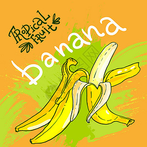 手 drwan 矢量 frui食物漫画小吃养分卡通片美食甜点艺术水果插图背景图片