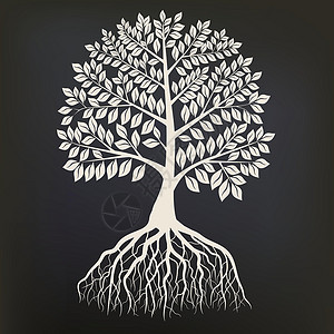 树与根与根系统剪影孤立在深色背景上的树 韦克托插画