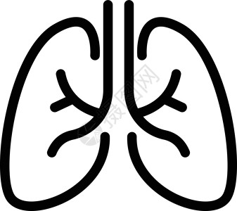 肺疾病器官生物学气管支气管身体插图医疗诊所解剖学背景图片