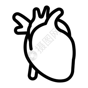 心电图药品器官生物学插图黑色解剖学科学静脉医疗心脏病学背景图片