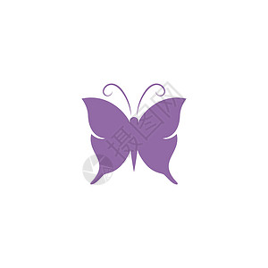 美丽的蝴蝶它制作图案绘画珠宝女孩涂鸦标识卡片商业化妆品艺术昆虫背景图片