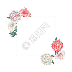 玫瑰和郁金香的花框 插花师背景图片