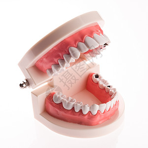 假体下巴培训白色背景的牙科下巴布局治疗微笑病人金属制品医生诊所牙医牙齿教学背景