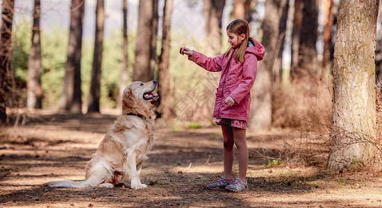 狩猎犬小女孩 带着金色猎犬宠物幸福粉色童年动物犬类孩子女性小路外套背景