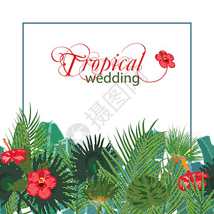 婚礼凤凰白色背景手绘热带棕榈叶和丛林奇花传单模板 带无缝边框艺术蕨类植物植物群莎草婚礼绘画花园海滩派对插画