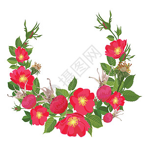 法兰西玫瑰花茶在逼真的手绘样式中设置红色的玫瑰花和叶子茄子花瓣纪念日花园卫生婚礼蓝色保健周年浆果插画