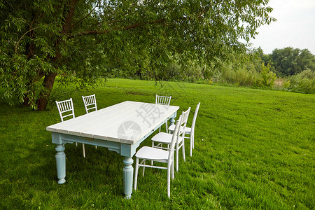 桌椅子白桌 在草坪树下有椅子背景