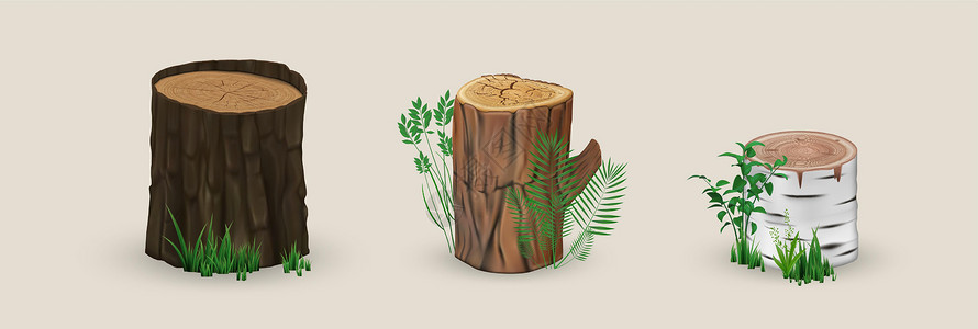 日志木材逼真的木桩模型设计图片