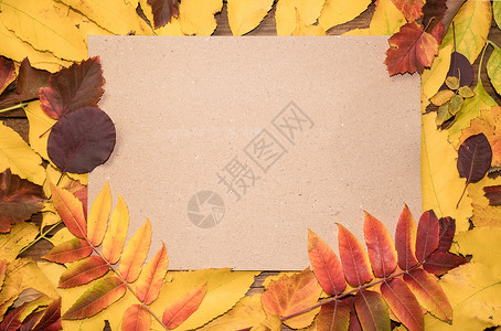 秋天你好毛笔字你好十月 秋天明亮的彩色叶子上的秋天组合物顶视图 带有纸片和文本位置背景