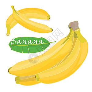分支热带棕榈香蕉叶和水果 平面色彩风格的写实绘画 在白色背景上隔离养分墙纸棕榈叶子异国情调卡通片手绘丛林食物背景图片