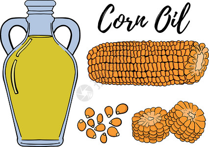 玉米树油套 手绘矢量图 玉米油 用于化妆品或食品 素描风格矢量有机食品插画涂鸦插图绘画水果艺术菜单液体玉米餐厅草图设计图片