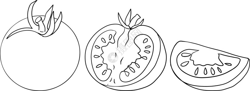 黑白素材一半手绘西红柿 用西红柿的切片和分支设置草图 孤立在白色背景上的矢量图解 写实植物绘画宏观墨水水果蔬菜饮食市场烹饪刷子食物插画