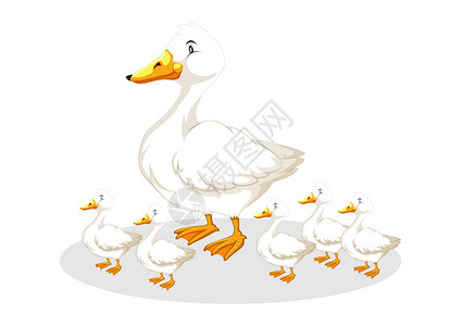 母鸭和鸭子 卡通矢量插图在白色背景中被孤立 鸭母动物和家庭鸭子插画