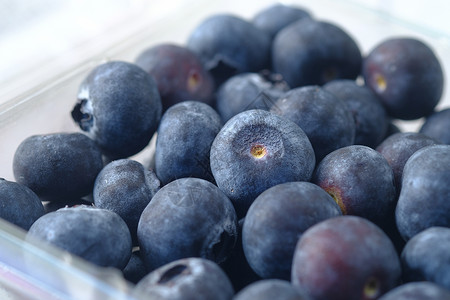 在塑料容器中紧贴着新鲜蓝莓果背景图片