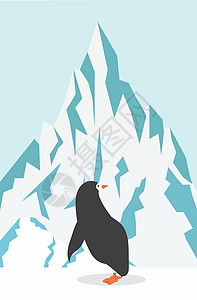 美国总统山寒冷的企鹅冬冬山地背景设计图片