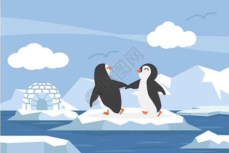 日本旭川动物园企鹅图片洋中北极北极与几只企鹅设计图片