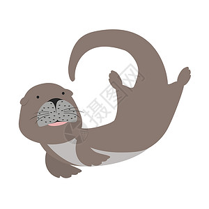 海狮秀白色背景的海狮动物性格卡通画设计图片