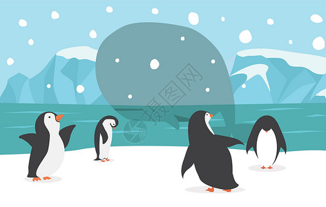皇帝企鹅有鲸北极背景的家庭企鹅家庭情况设计图片