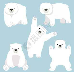 漫画北极熊可爱的北极熊有趣的卡通矢量插画